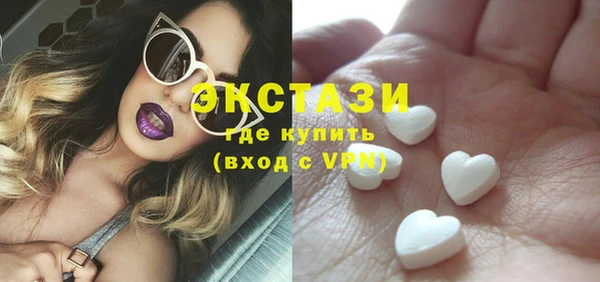 индика Арсеньев