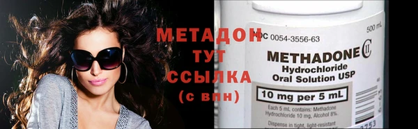 индика Арсеньев