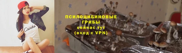 индика Арсеньев
