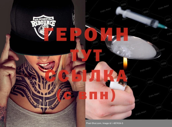 прущие грибы Гусев
