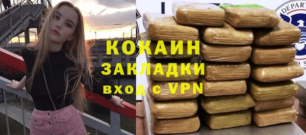 индика Арсеньев