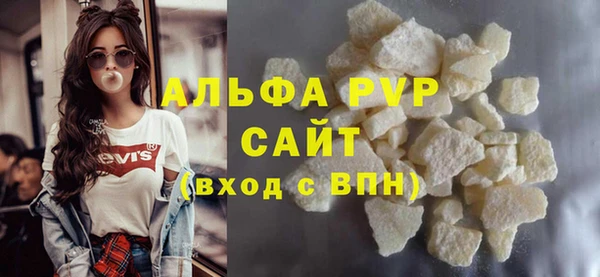 индика Арсеньев