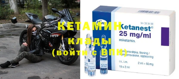 индика Арсеньев