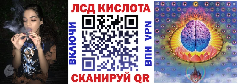 купить наркотик  Курган  Наркотические марки 1,5мг 