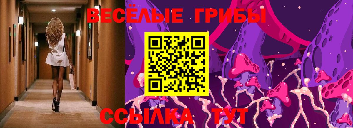 Галлюциногенные грибы MAGIC MUSHROOMS  Вход с VPN  Псилоцибиновые грибы ЛСД  Курган 